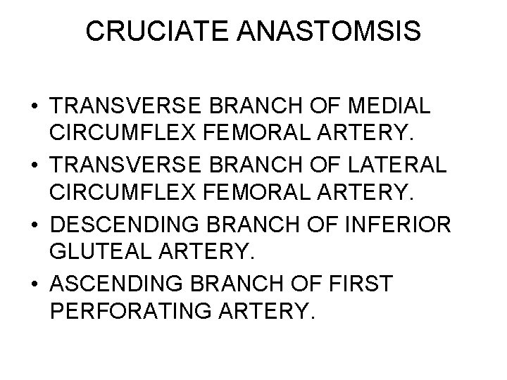 CRUCIATE ANASTOMSIS • TRANSVERSE BRANCH OF MEDIAL CIRCUMFLEX FEMORAL ARTERY. • TRANSVERSE BRANCH OF