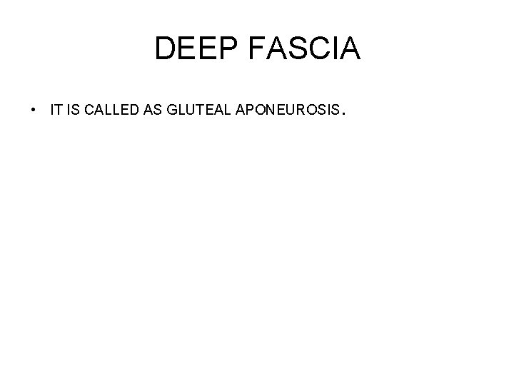 DEEP FASCIA • IT IS CALLED AS GLUTEAL APONEUROSIS. 