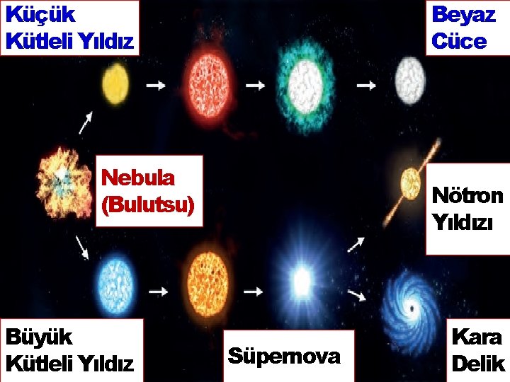 Küçük Kütleli Yıldız Beyaz Cüce Nebula (Bulutsu) Büyük Kütleli Yıldız Nötron Yıldızı Süpernova Kara