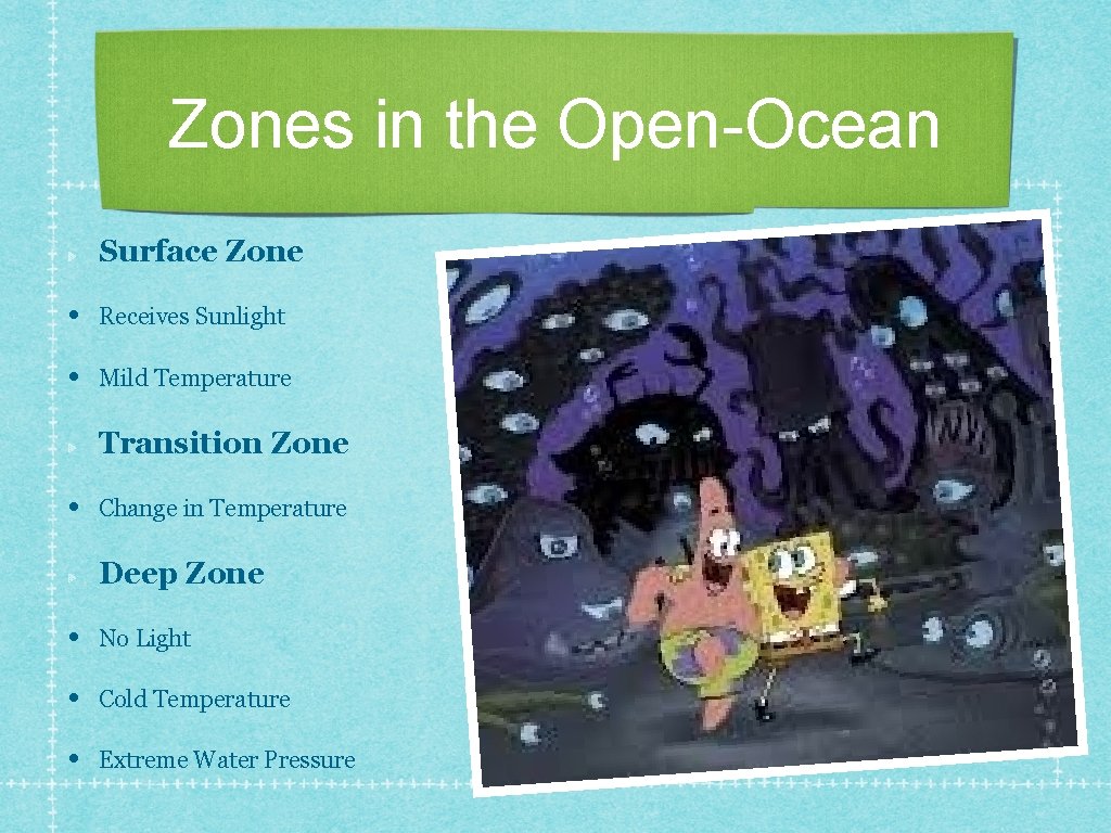 Zones in the Open-Ocean Surface Zone • Receives Sunlight • Mild Temperature Transition Zone