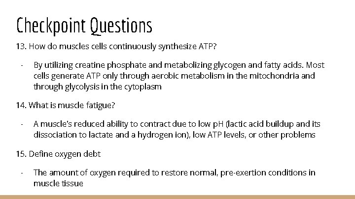 Checkpoint Questions 13. How do muscles cells continuously synthesize ATP? - By utilizing creatine