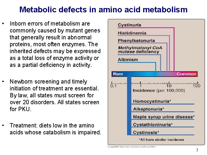 Metabolic defects in amino acid metabolism • Inborn errors of metabolism are commonly caused