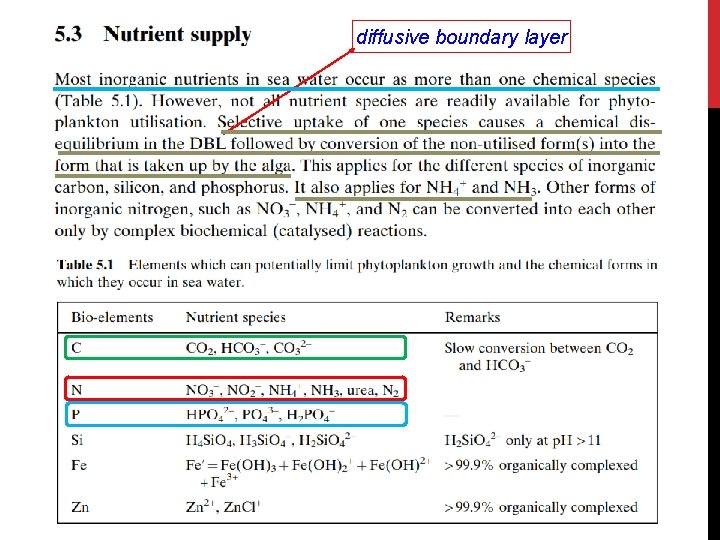 diffusive boundary layer 