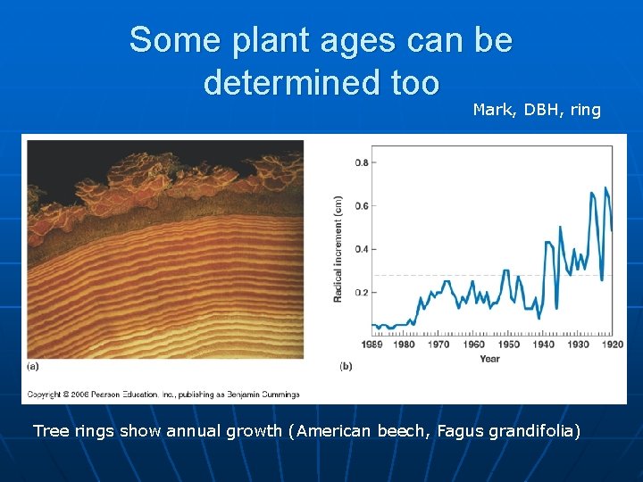 Some plant ages can be determined too Mark, DBH, ring Tree rings show annual