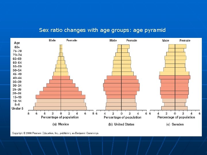 Sex ratio changes with age groups: age pyramid 