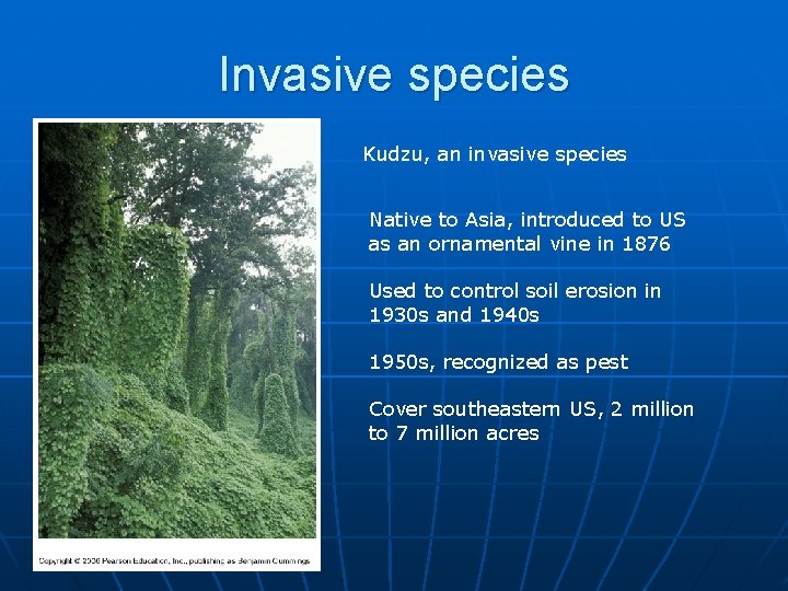 Invasive species Kudzu, an invasive species Native to Asia, introduced to US as an