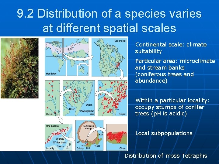 9. 2 Distribution of a species varies at different spatial scales Continental scale: climate