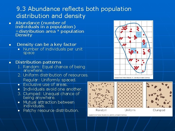 9. 3 Abundance reflects both population distribution and density n n n Abundance (number