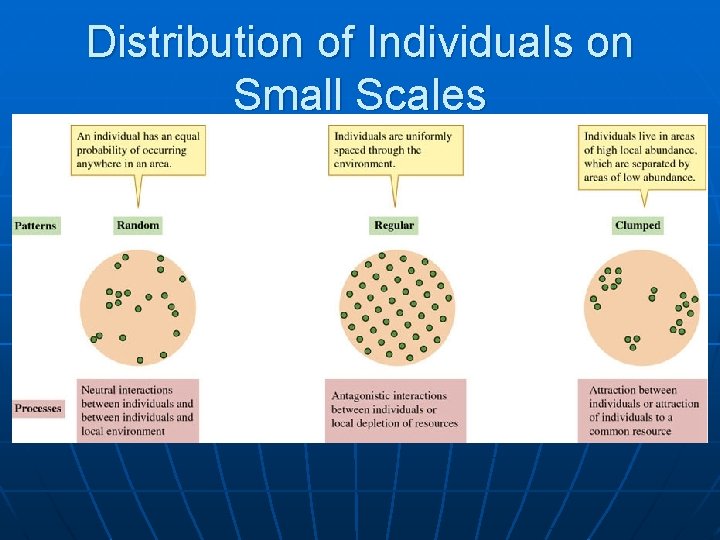 Distribution of Individuals on Small Scales 