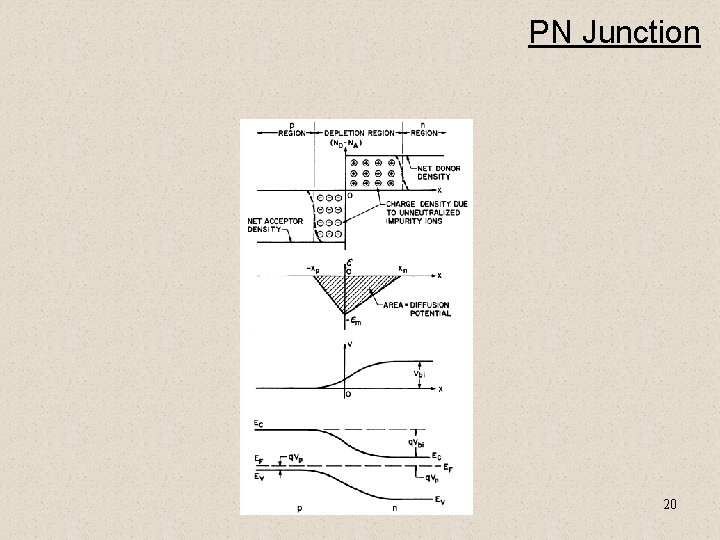 PN Junction 20 