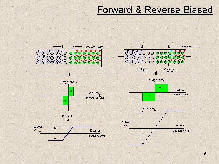 Forward & Reverse Biased 9 