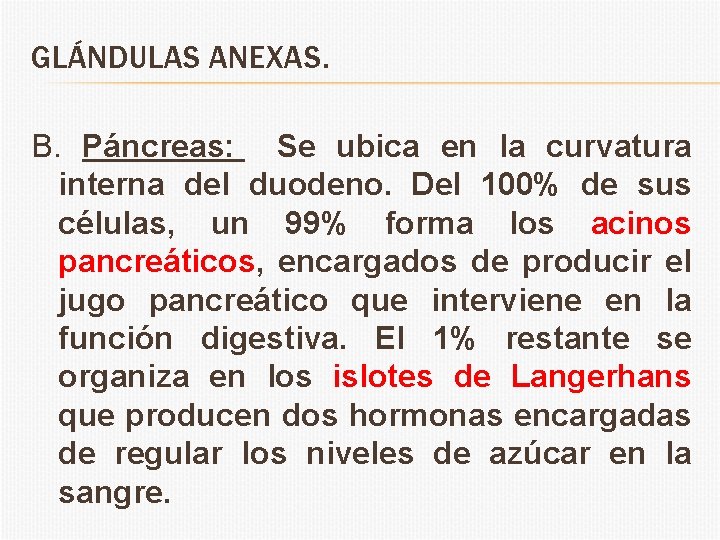 GLÁNDULAS ANEXAS. B. Páncreas: Se ubica en la curvatura interna del duodeno. Del 100%