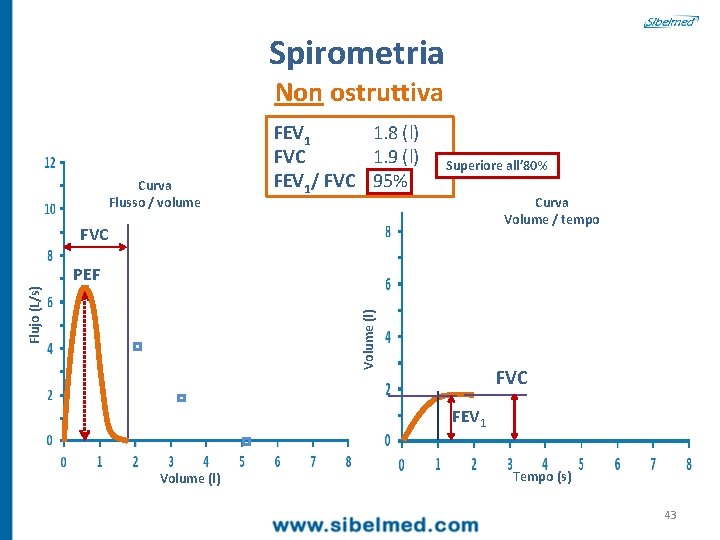 Spirometria Non ostruttiva Curva Flusso / volume FEV 1 1. 8 (l) FVC 1.