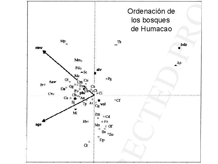 Ordenación de los bosques de Humacao 