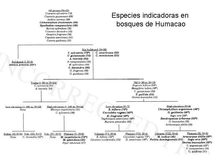 Especies indicadoras en bosques de Humacao 