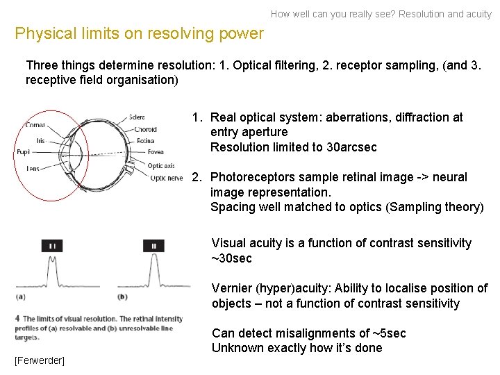 How well can you really see? Resolution and acuity Physical limits on resolving power