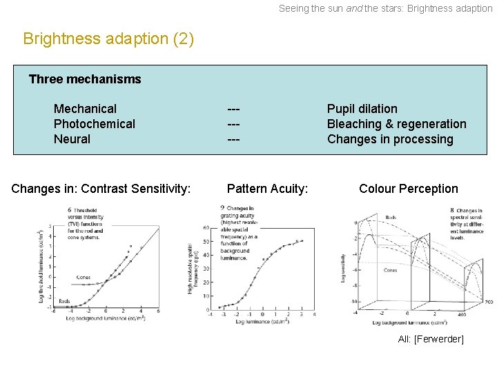 Seeing the sun and the stars: Brightness adaption (2) Three mechanisms Mechanical Photochemical Neural