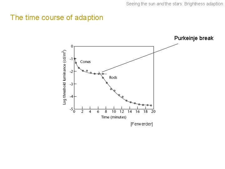 Seeing the sun and the stars: Brightness adaption The time course of adaption Purkeinje