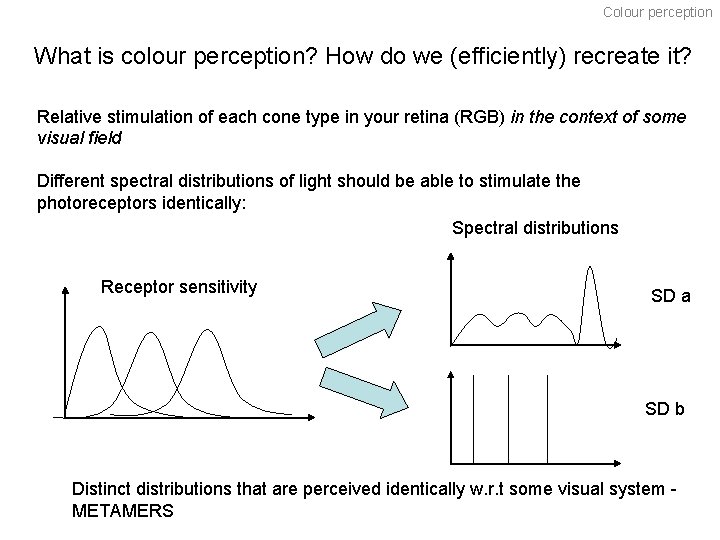 Colour perception What is colour perception? How do we (efficiently) recreate it? Relative stimulation
