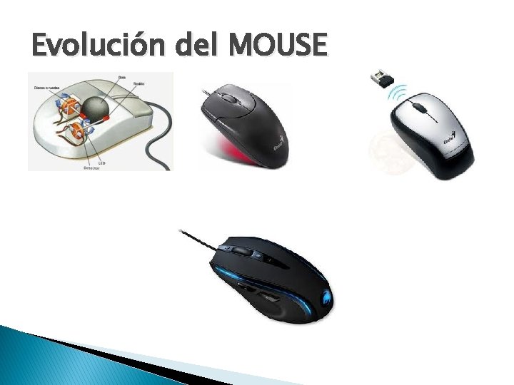 Evolución del MOUSE 