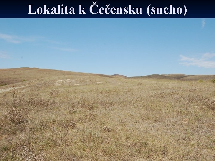 Lokalita k Čečensku (sucho) 