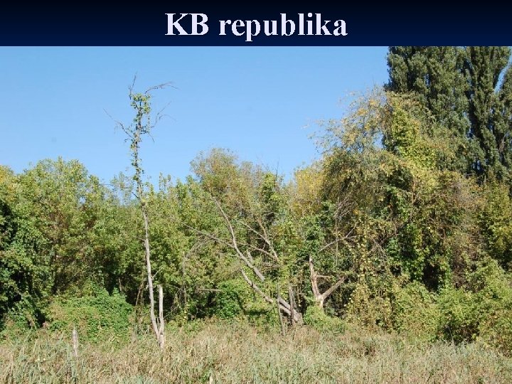 KB republika 