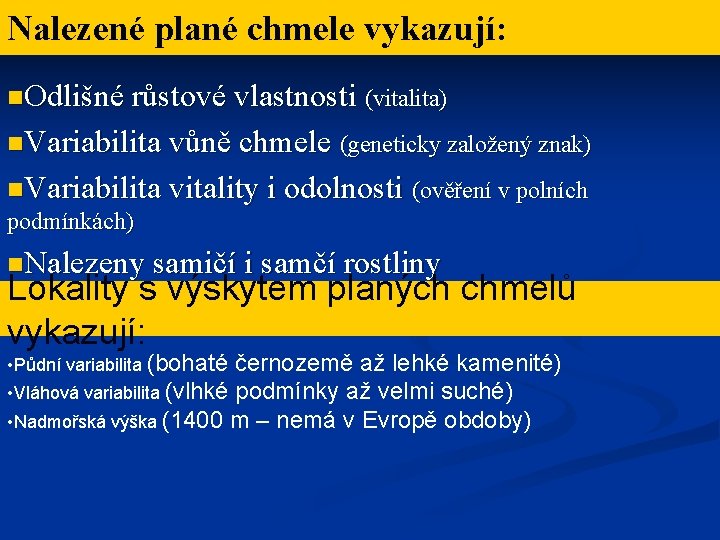 Nalezené plané chmele vykazují: n. Odlišné růstové vlastnosti (vitalita) n. Variabilita vůně chmele (geneticky