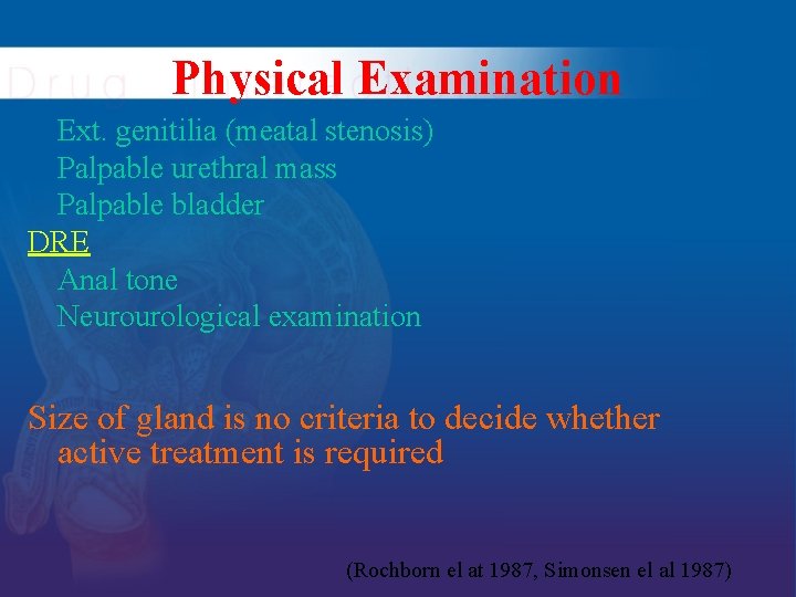 Physical Examination Ext. genitilia (meatal stenosis) Palpable urethral mass Palpable bladder DRE Anal tone