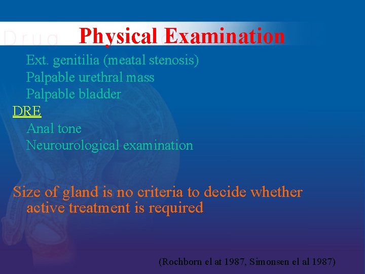 Physical Examination Ext. genitilia (meatal stenosis) Palpable urethral mass Palpable bladder DRE Anal tone Physical Examination Ext. genitilia (meatal stenosis) Palpable urethral mass Palpable bladder DRE Anal tone