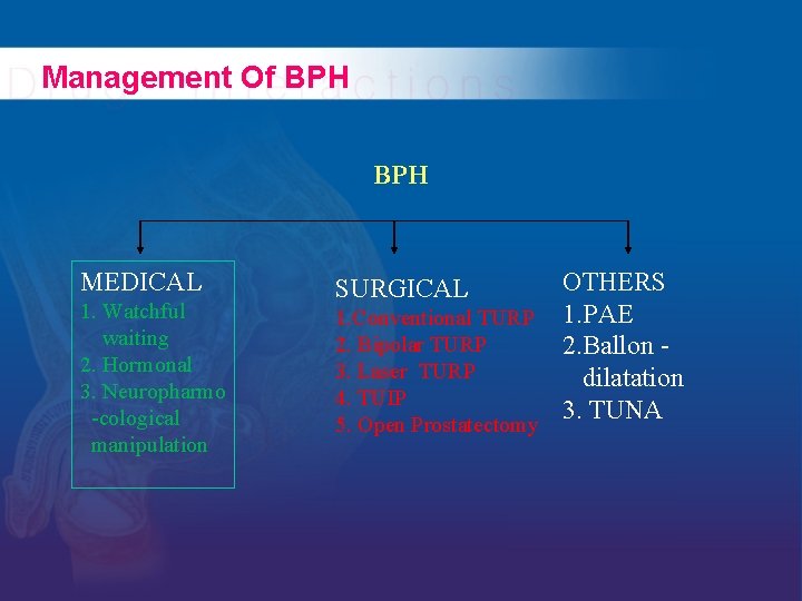 Management Of BPH MEDICAL 1. Watchful waiting 2. Hormonal 3. Neuropharmo -cological manipulation OTHERS Management Of BPH MEDICAL 1. Watchful waiting 2. Hormonal 3. Neuropharmo -cological manipulation OTHERS
