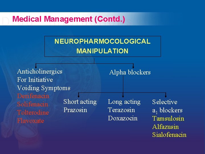 Medical Management (Contd. ) NEUROPHARMOCOLOGICAL MANIPULATION Anticholinergics For Initiative Voiding Symptoms Derifenacin Short acting