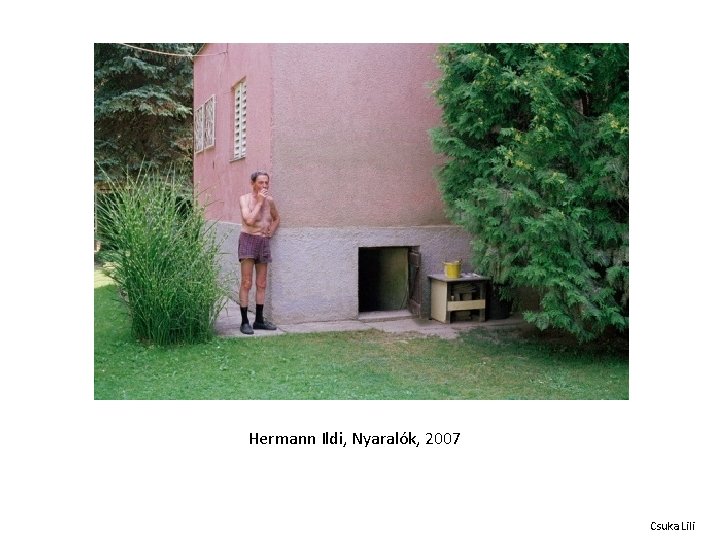 Hermann Ildi, Nyaralók, 2007 Csuka Lili 