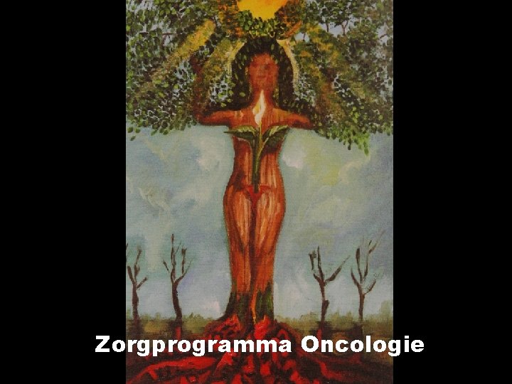 Zorgprogramma Oncologie 