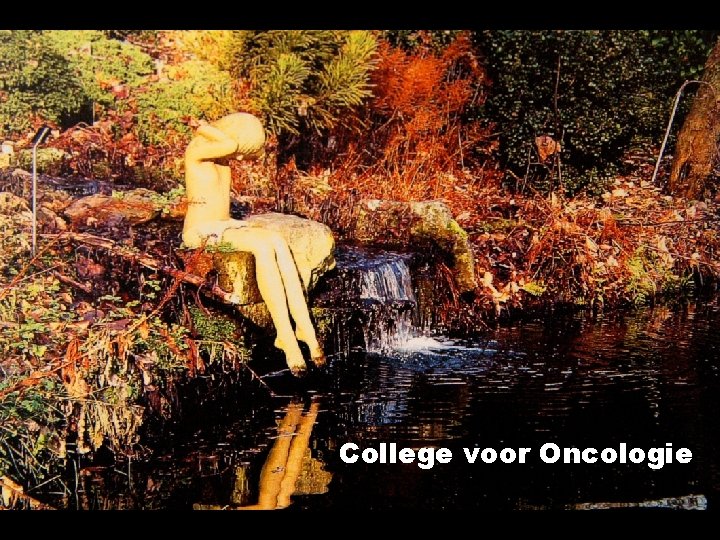 College voor Oncologie 