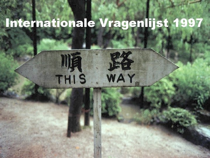 Internationale Vragenlijst 1997 