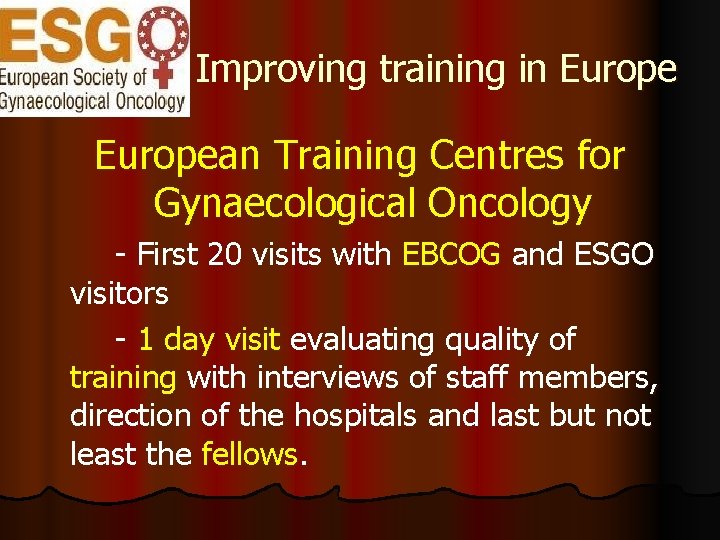 Improving training in European Training Centres for Gynaecological Oncology - First 20 visits with