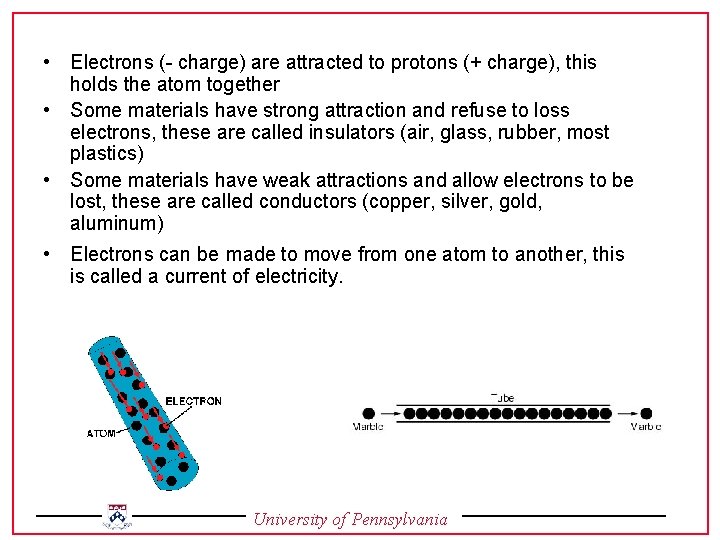  • Electrons (- charge) are attracted to protons (+ charge), this holds the