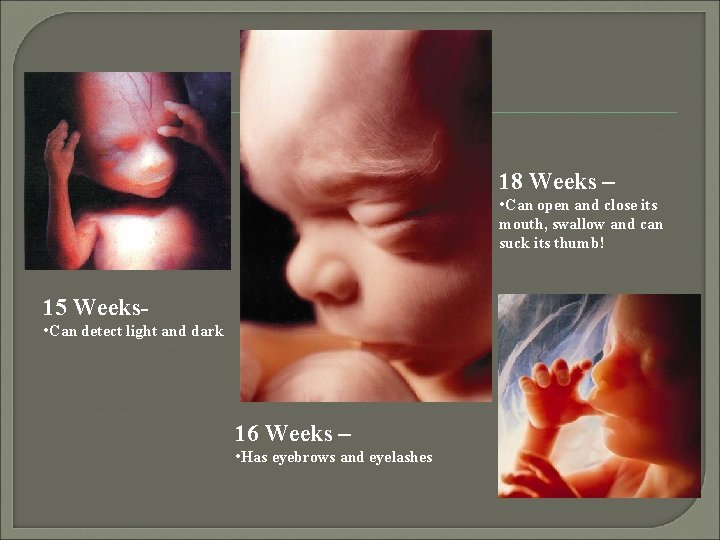 18 Weeks – • Can open and close its mouth, swallow and can suck