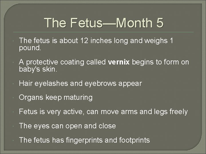 The Fetus—Month 5 The fetus is about 12 inches long and weighs 1 pound.