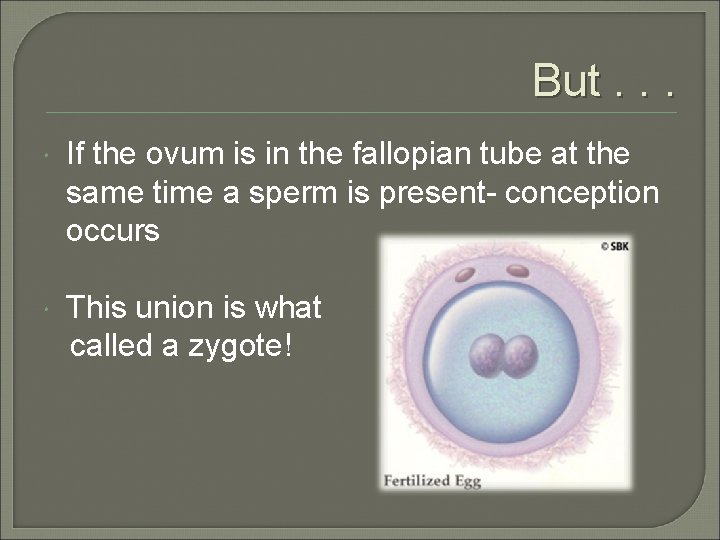 But. . . If the ovum is in the fallopian tube at the same