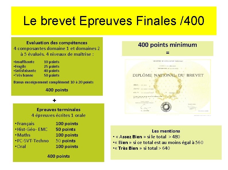 Le brevet Epreuves Finales /400 Evaluation des compétences 4 composantes domaine 1 et domaines