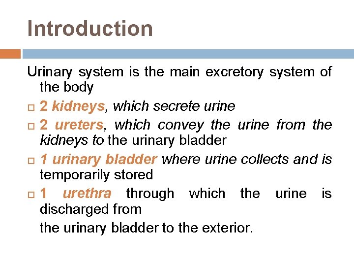 Introduction Urinary system is the main excretory system of the body 2 kidneys, which