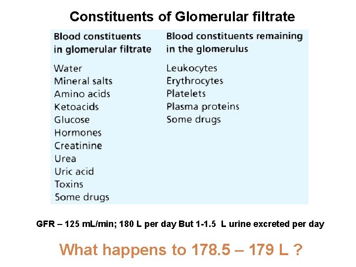 Constituents of Glomerular filtrate GFR – 125 m. L/min; 180 L per day But