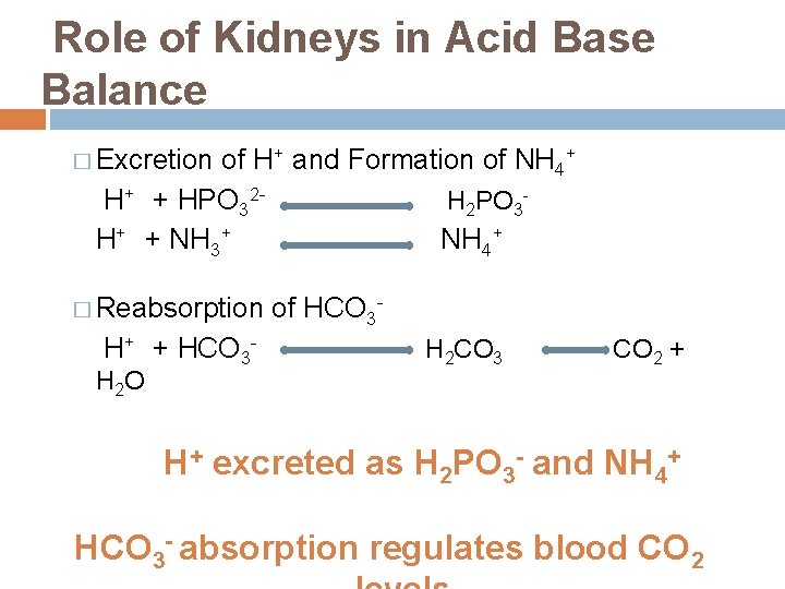 Role of Kidneys in Acid Base Balance � Excretion of H+ and Formation of