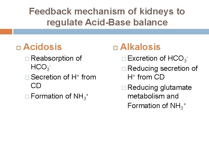 Feedback mechanism of kidneys to regulate Acid-Base balance Acidosis � Reabsorption of HCO 3�