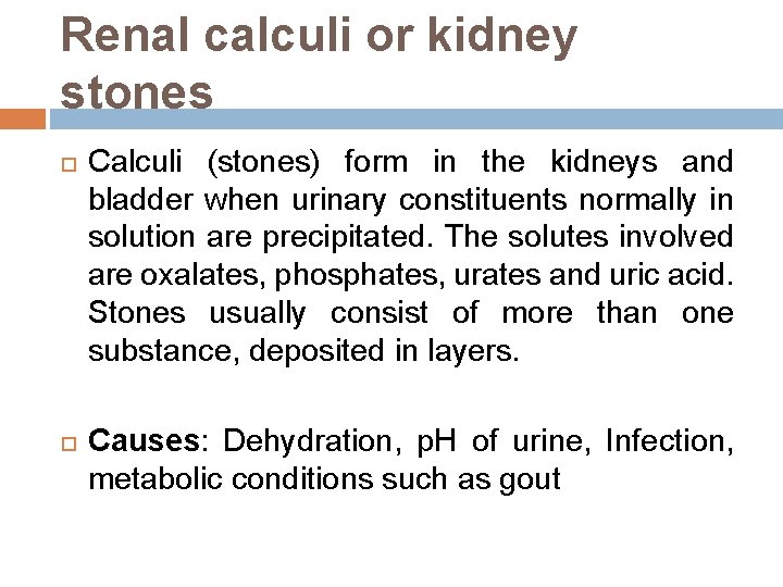 Renal calculi or kidney stones Calculi (stones) form in the kidneys and bladder when