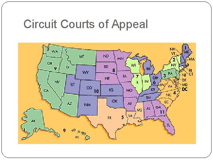 Circuit Courts of Appeal 