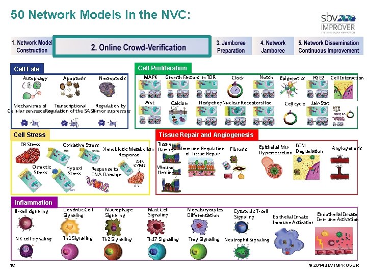 50 Network Models in the NVC: Cell Proliferation Cell Fate Autophagy Apoptosis Necroptosis Mechanisms