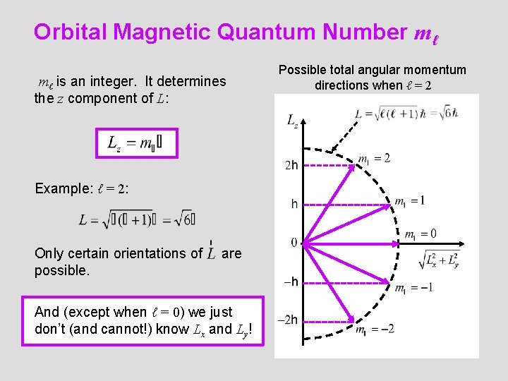 Orbital Magnetic Quantum Number mℓ mℓ is an integer. It determines the z component Orbital Magnetic Quantum Number mℓ mℓ is an integer. It determines the z component