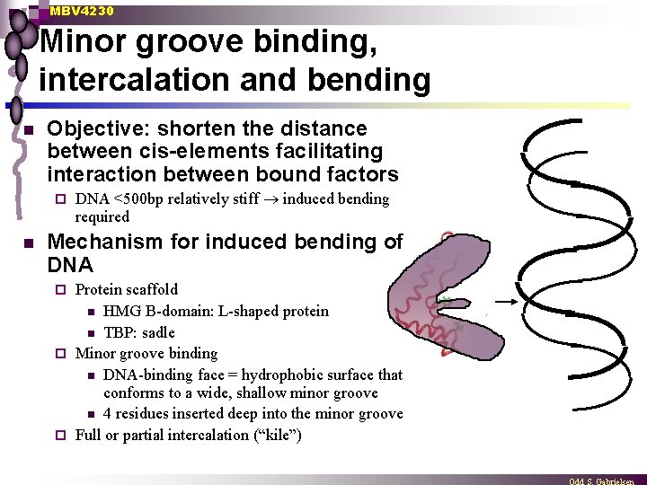 MBV 4230 Minor groove binding, intercalation and bending n Objective: shorten the distance between